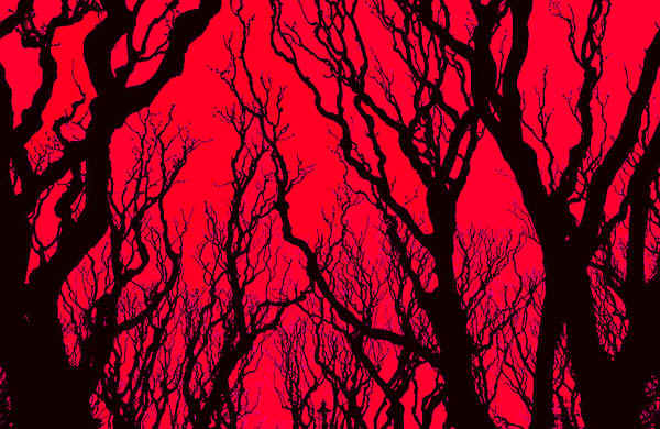 RedSkyBlackTrees