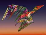 BFlying-the-Colors