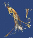 dancer2a