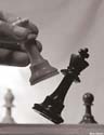 CheckmateD
