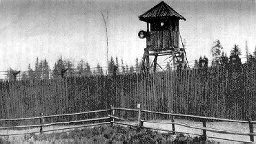 koly09.gif (81230 bytes)