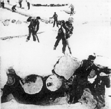 logging.gif (61109 bytes)